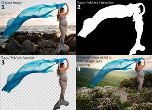 Topaz ReMask Giveaway From Ashe Design