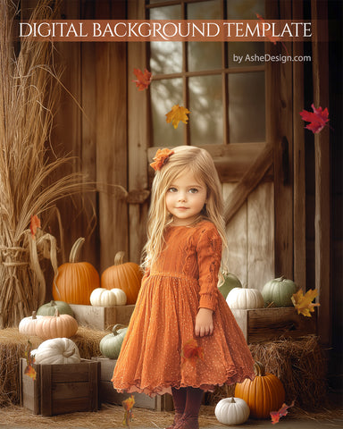 Digital Backdrop Set - Pumpkin Harvest