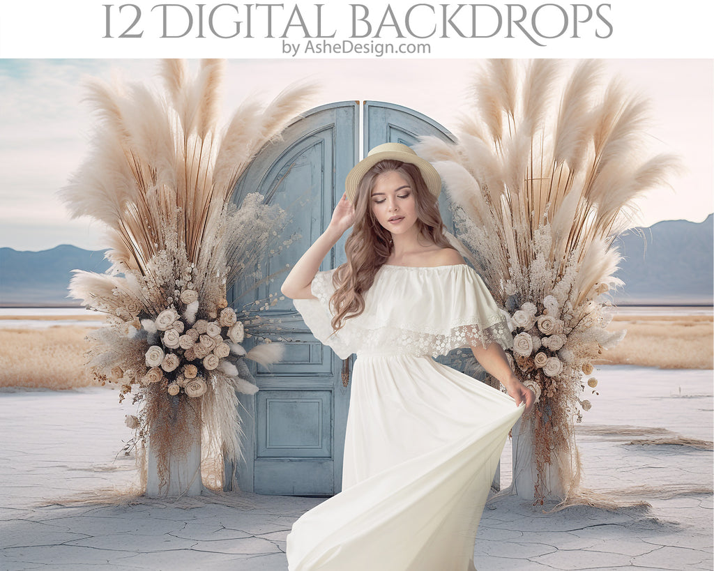 Fine Art Digital Photography Backdrops - Boho Desert