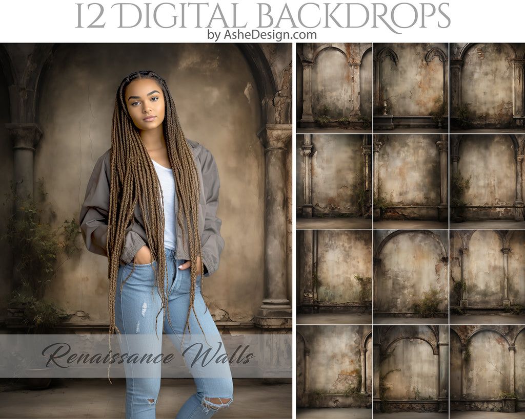 Digital Photography Backdrops - Renaissance Walls