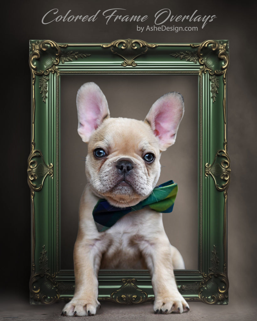 Designer Gems - Colored Frame Overlays