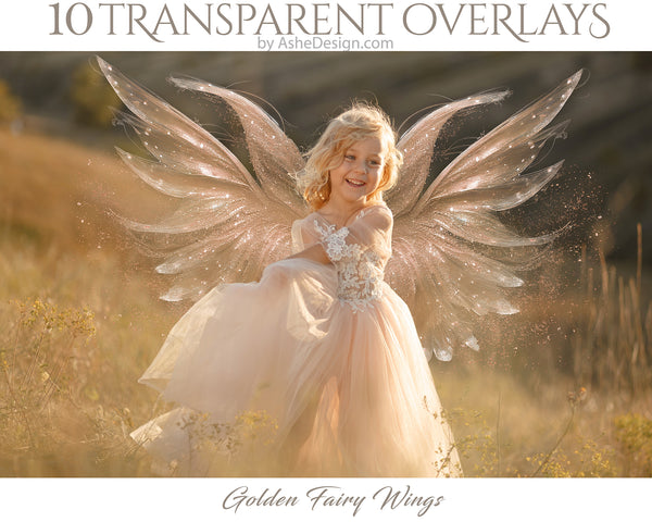 designing tool, photo enhancement, digital design, photoshop design, custom design, photo prop, designing prop, designer gem, designer tool, Scrapbook element, Golden Wings Overlay, Digital Golden Wings, Fairy Wings