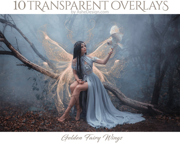 designing tool, photo enhancement, digital design, photoshop design, custom design, photo prop, designing prop, designer gem, designer tool, Scrapbook element, Golden Wings Overlay, Digital Golden Wings, Fairy Wings