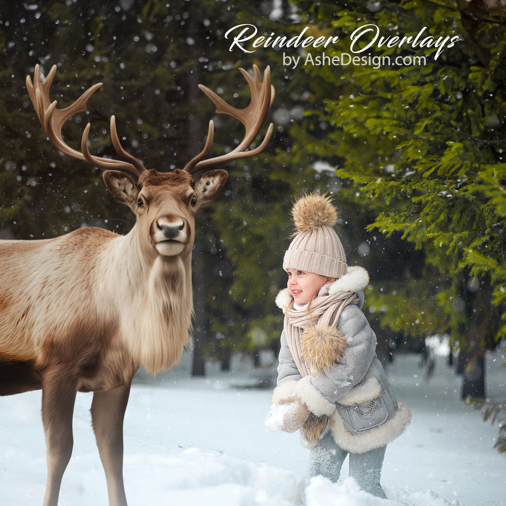 Designer Gems - Reindeer Overlays Set 2