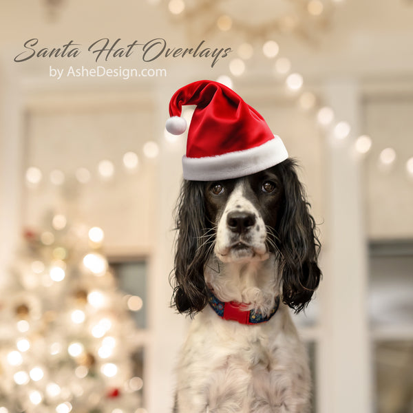 Designer Gems - Santa and Elf Hat Overlays