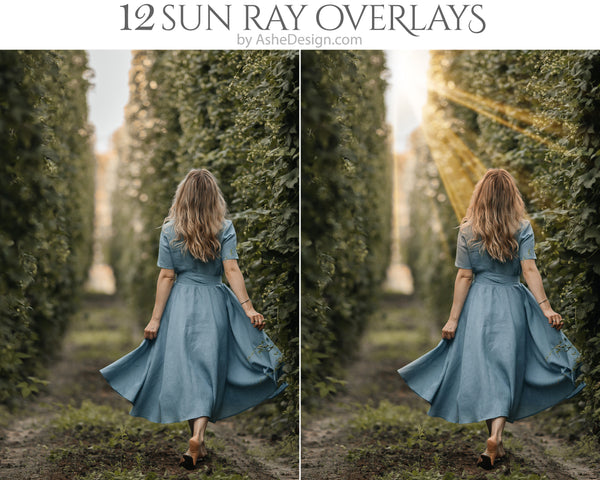 Sun ray overlays Sunlight overlays Sunbeam effects Light ray overlays Radiant photo enhancements Natural light overlays Golden sun rays Sunburst overlays Atmospheric photo effects Warm light overlays Luminous ray textures Sun glare overlays Ethereal sun rays