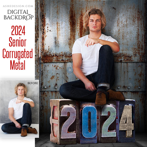Digital Props - 16x20 Backdrops - Corrugated Metal - 2024 Senior