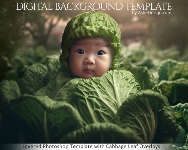 Photography backdrop, Digital overlays, Digital backgrounds, Photoshop overlays, photography overlays, Backdrop Overlays, Studio backdrops, digital backdrop, Photoshop Template, newborn background, Newborn Photography, baby backdrop, baby photo props