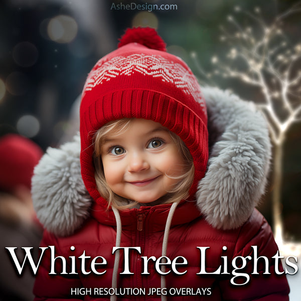 Christmas Overlays,  Photoshop Overlays,  Bokeh Snowflake Overlay,  Rudolph Overlay,  Photoshop Overlay,  Reindeer Overlay,  Angel Lights Overlay,  Fairy Lights Overlay,  Christmas Lights Overlay,  Christmas Tree Overlay