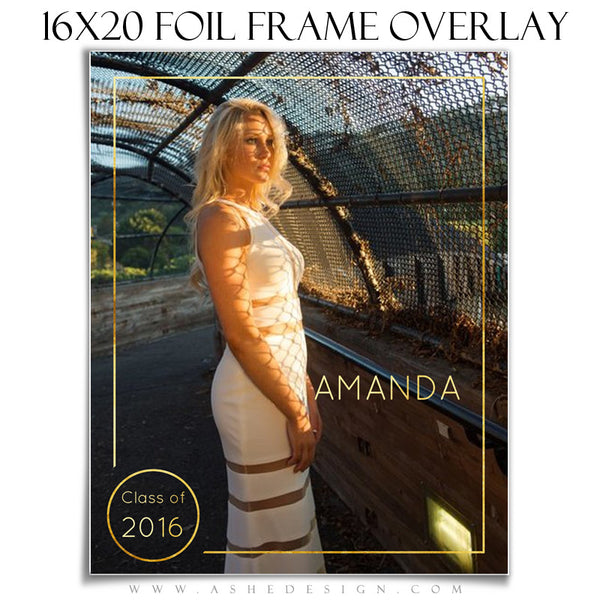 Customizable Designer Gems | Gold Foil Frame Overlay 16x20