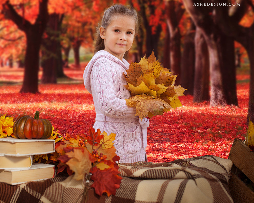 Digital Props 8x10 Backdrop Set - Back To School