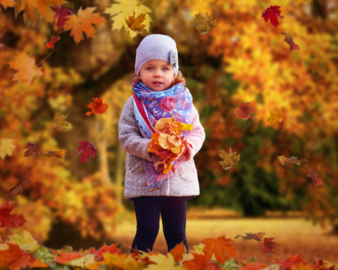 Digital Props 16x20 Backdrop Set - Colors of Autumn