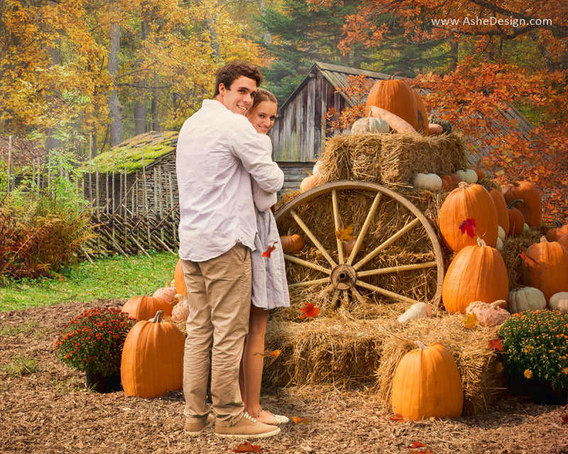 Ashe Design 16x20 Digital Backdrop Set - Autumn Harvest AFTER