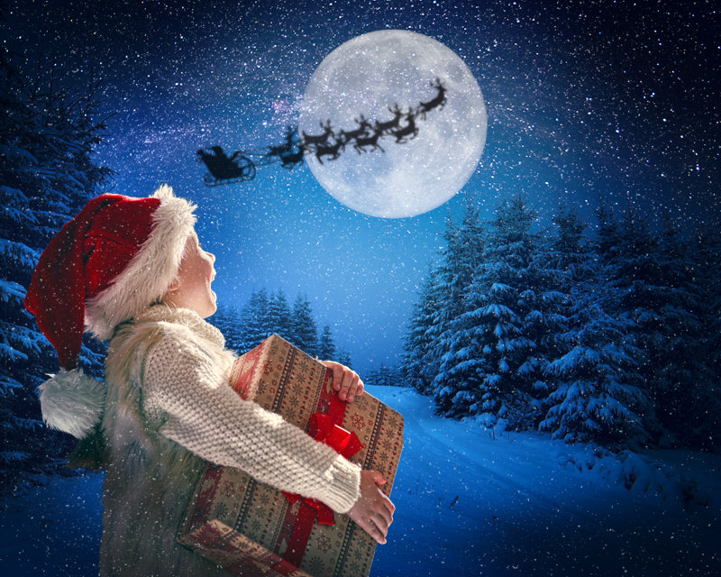 Ashe Design 16x20 Digital Backdrop Set - Here Comes Santa Claus AFTER