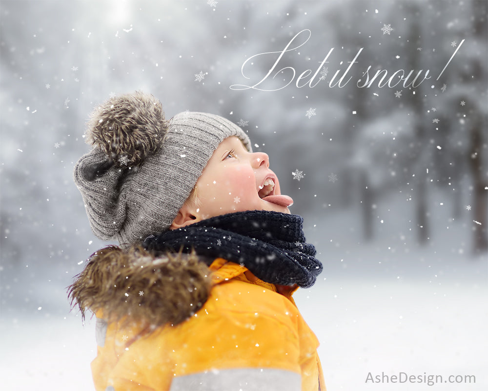 Digital Props 16x20 Backdrop Set - Catching Snowflakes