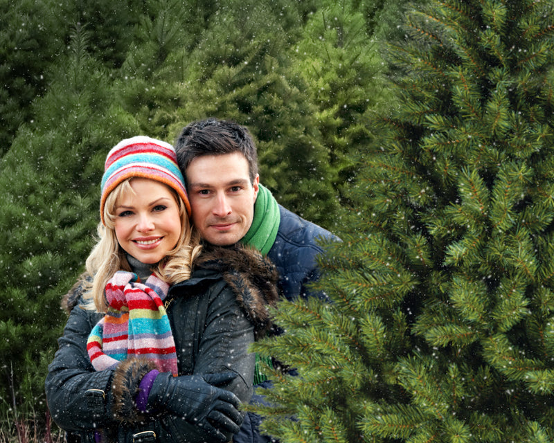 Ashe Design 16x20 Digital Backdrop Set - Christmas Tree Farm AFTER