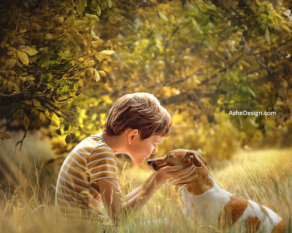 Digital Props 16x20 Backdrop Set - Dog Days of Summer