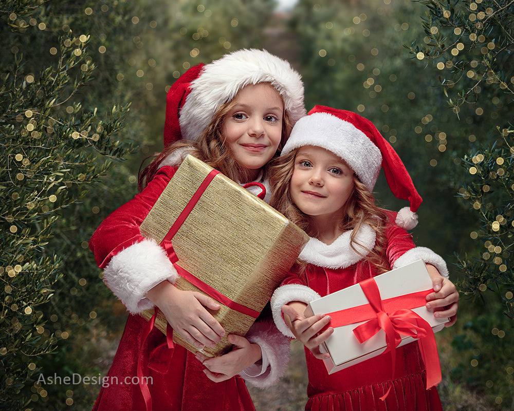 Digital Props 16x20 Backdrop Set - Evergreen Bokeh
