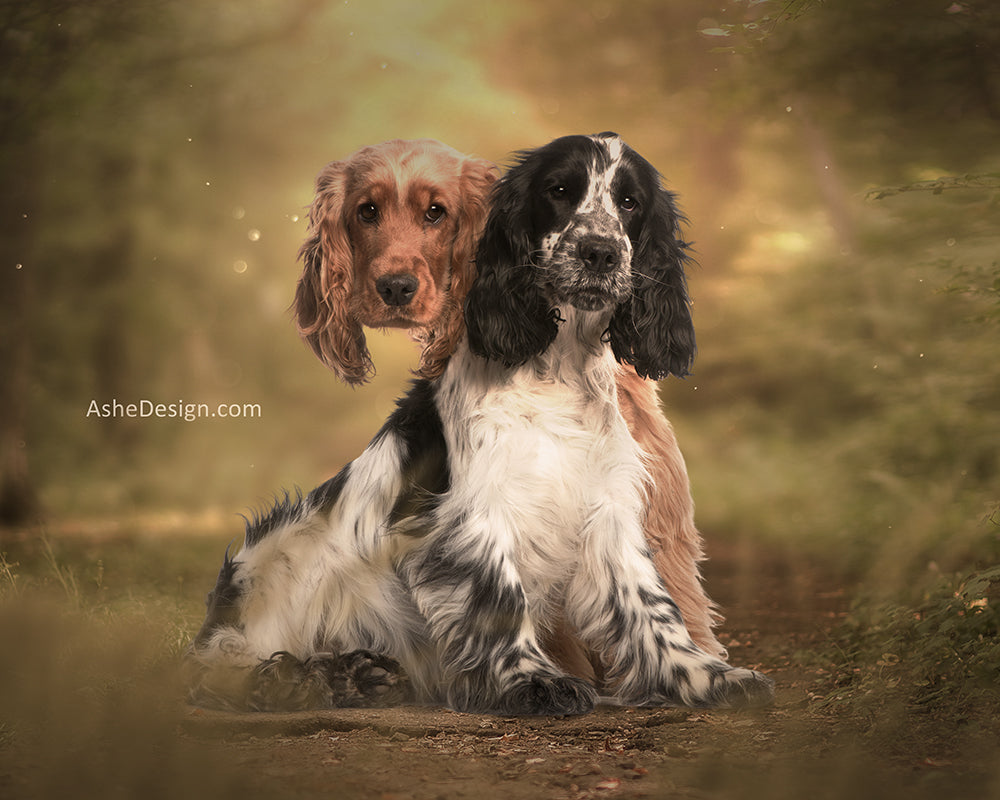 Digital Props 16x20 Backdrop Set - Pet Portraits