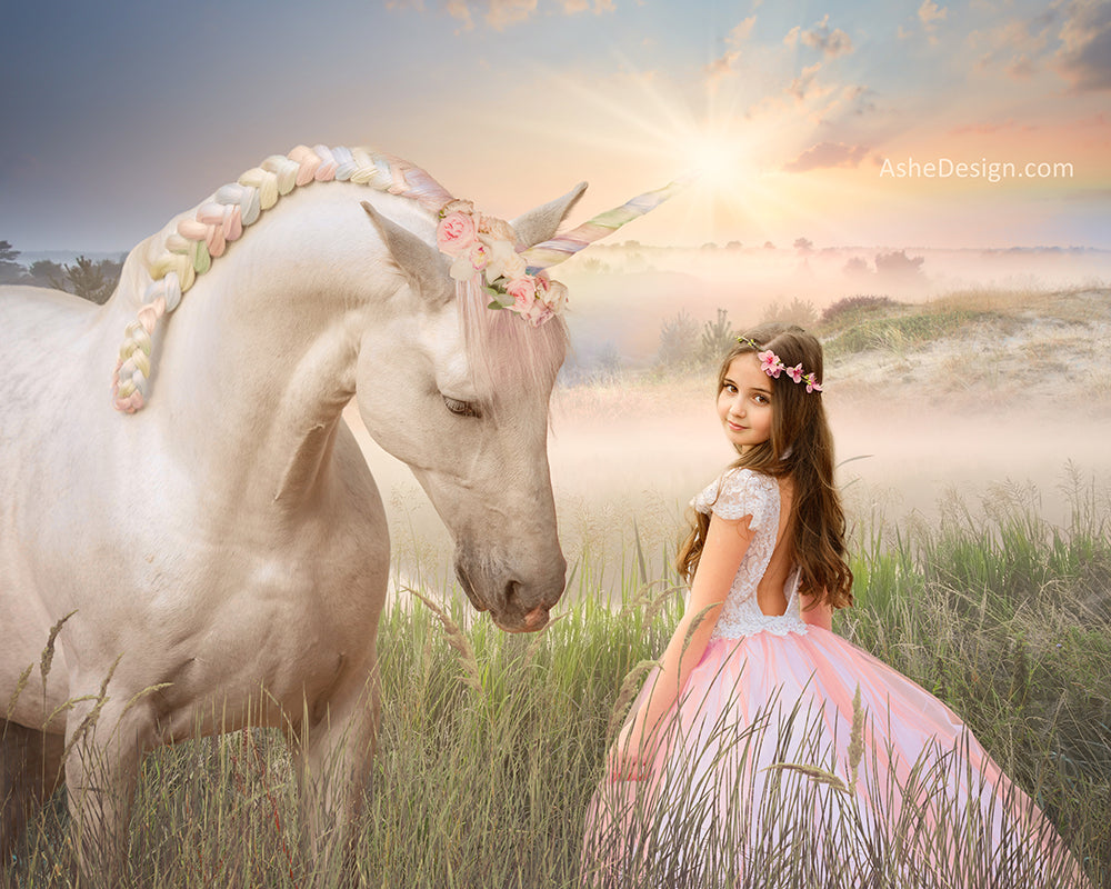 Digital Props 16x20 Backdrop Set - Rainbow Unicorn