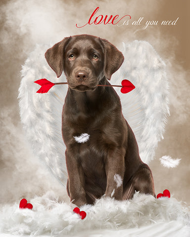 Digital Props 16x20 Backdrop Set - Cupid Pet