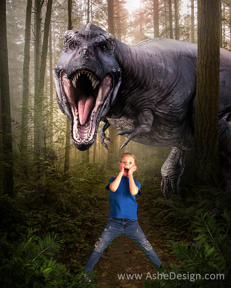 Digital Props 16x20 Backdrop Set - T-Rex Dinosaur