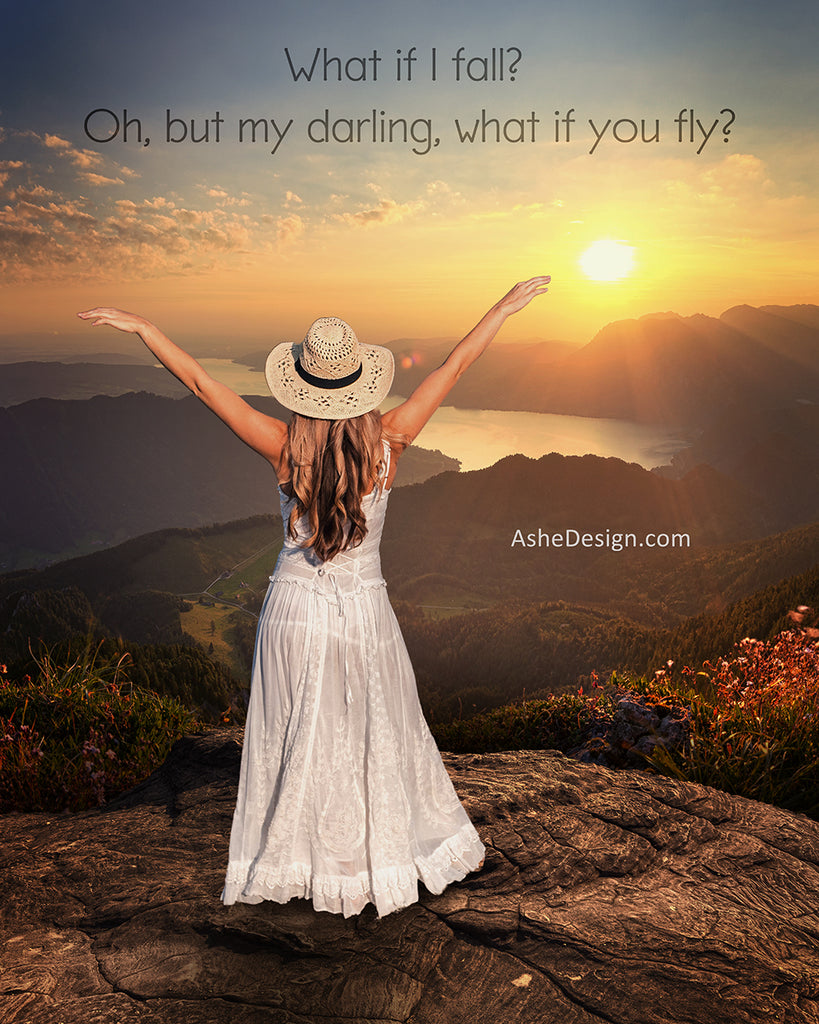 Digital Props 16x20 Backdrop Set - What If You Fly