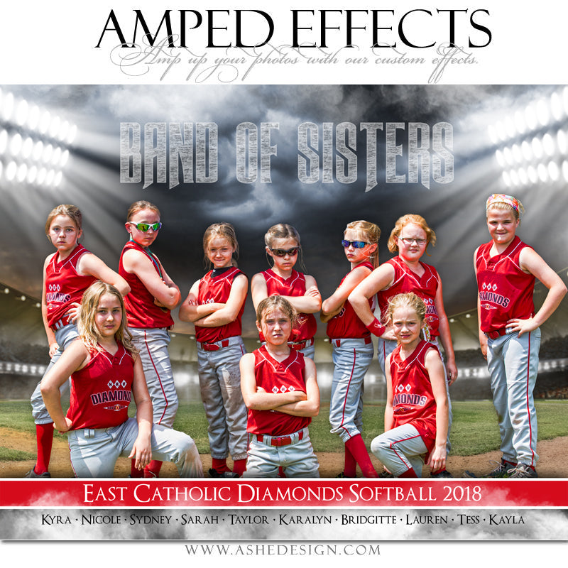 Softball Poster, Photoshop Template, Softball Banner, Digital Background, Senior Banner, Softball Template, Sports Poster, Custom Banner, photoshop services, Softball Backdrop, Softball mom, tball gift, tball poster