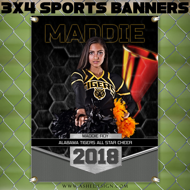 Ashe Design 3x4 Amped Sports Banner Photoshop Templates | Great Balls of Fire Cheer