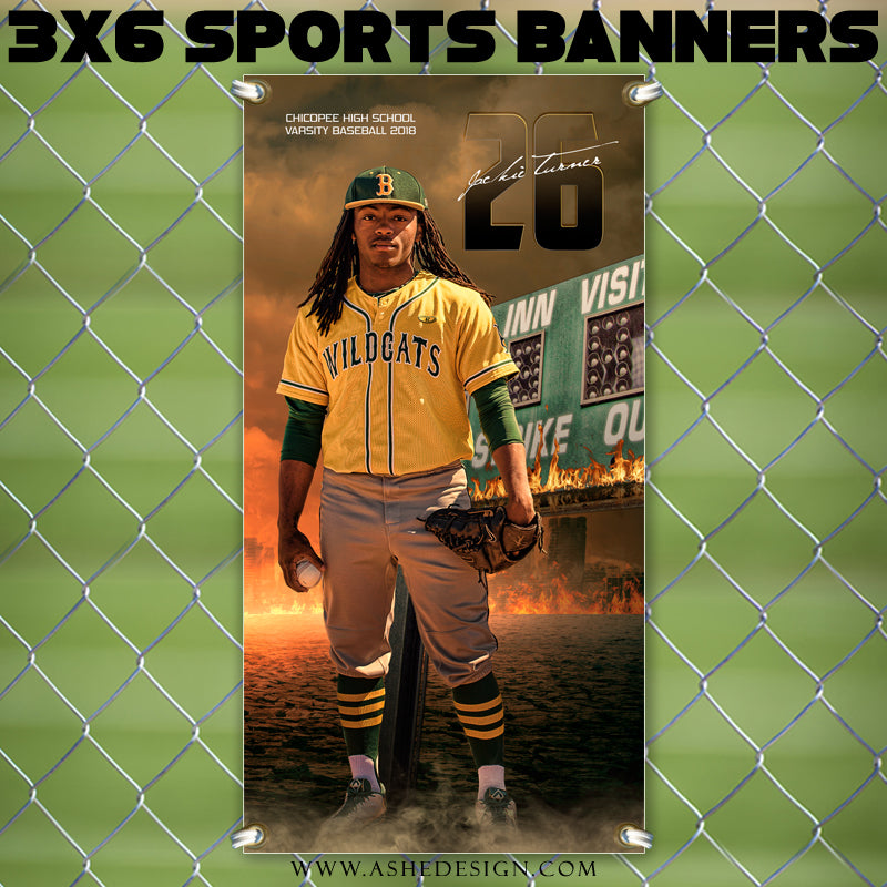 Baseball Poster, Photoshop Template, Baseball Banner, Digital Background, Senior Banner, Baseball Template, Sports Poster, Custom Banner, photoshop services, Baseball Backdrop, baseball mom, tball gift, tball poster