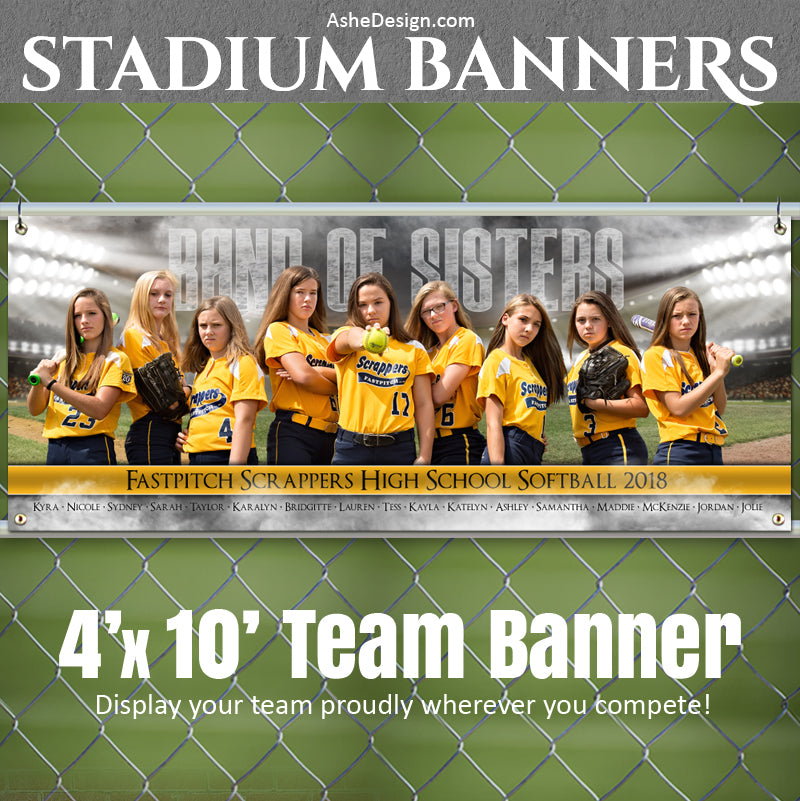 Softball Poster, Photoshop Template, Softball Banner, Digital Background, Senior Banner, Softball Template, Sports Poster, Custom Banner, photoshop services, Softball Backdrop, Softball mom, tball gift, tball poster