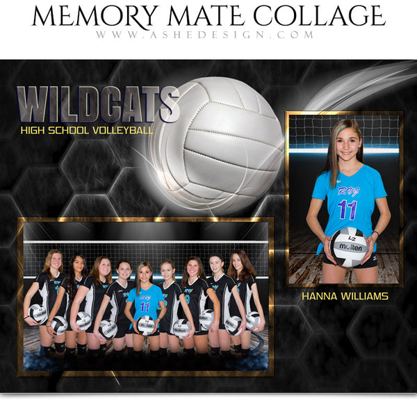 Ashe Design 8x10 Sports Memory Mate Honeycomb Volleyball HZ
