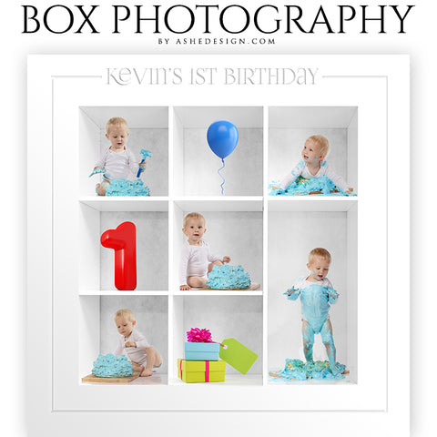 Box Session Photography - First Birthday Collage