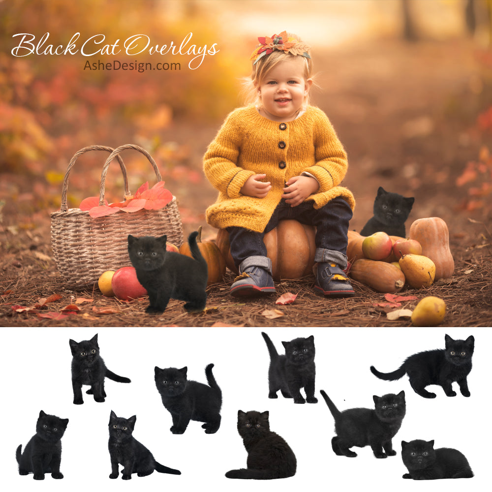 Designer Gems - Black Cat Overlays