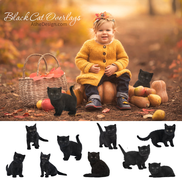 Designer Gems - Black Cat Overlays