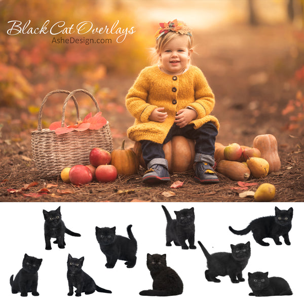 Designer Gems - Black Cat Overlays