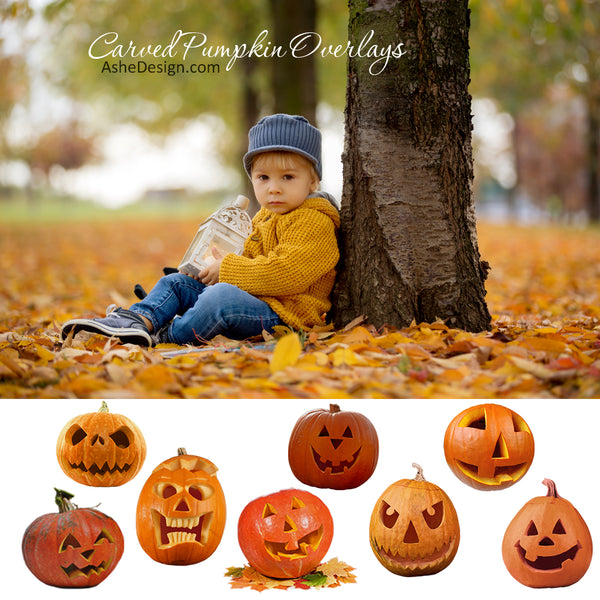 Designer Gems - Carved Pumpkin Overlays