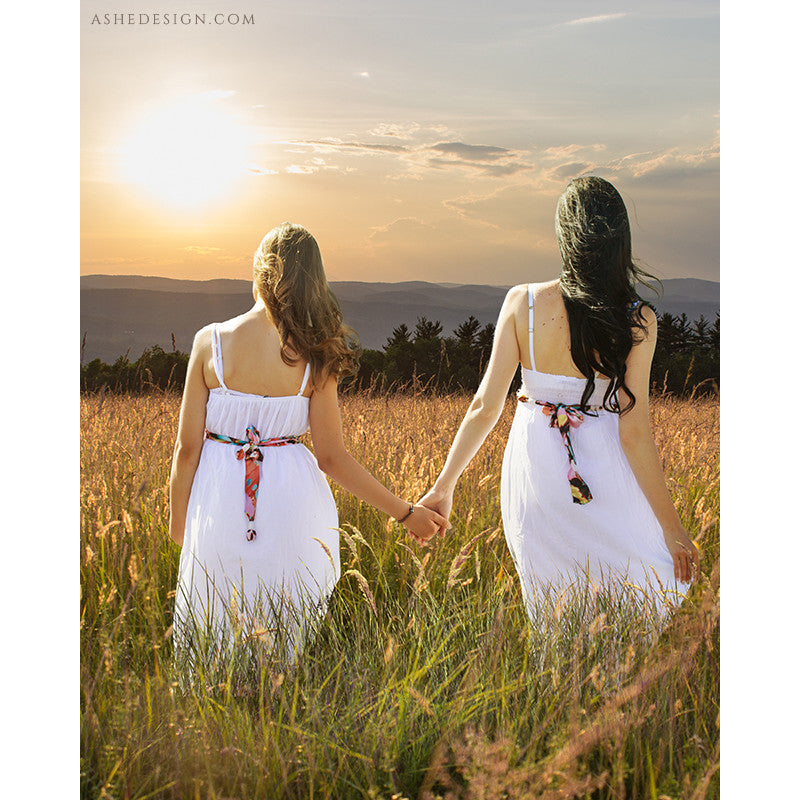 Digital Props 16x20 Backdrop Set - Wheat Field
