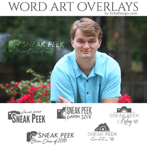 Ashe Design Customizable Word Art Overlays - Sneak Peek Camera