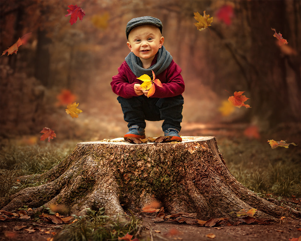 Digital Props 16x20 Backdrop Set - Fall Forest