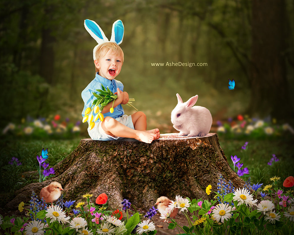 Digital Props 16x20 Backdrop Set - Spring Forest