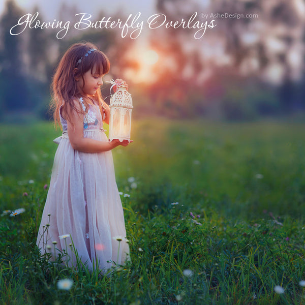 Ashe Design Designer Gems - Glowing Butterfly Overlays - BEFORE