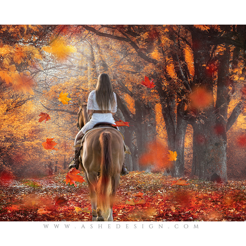Digital Props 16x20 Backdrop Set - Autumn Mist