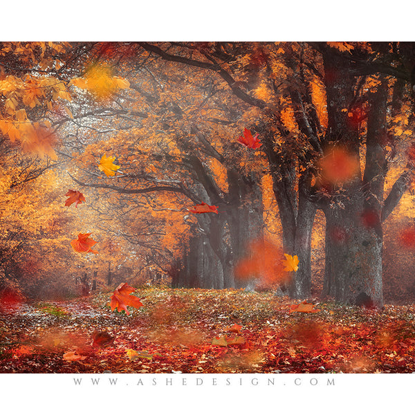 Digital Props 16x20 Backdrop Set - Autumn Mist