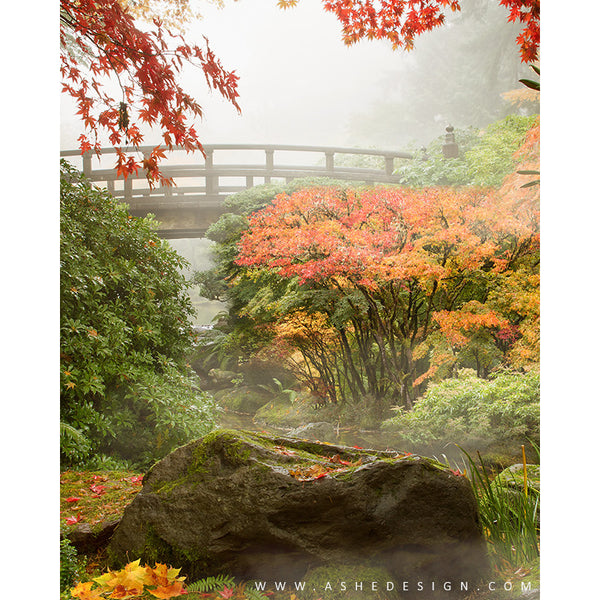 Digital Props 16x20 Backdrop Set - Autumn Park