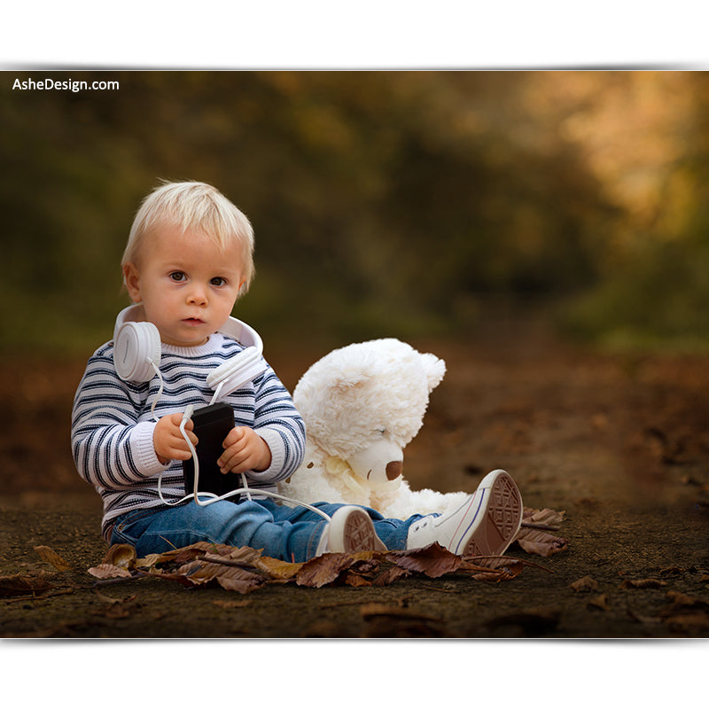 Digital Props 16x20 Backdrop Set - Autumn Path