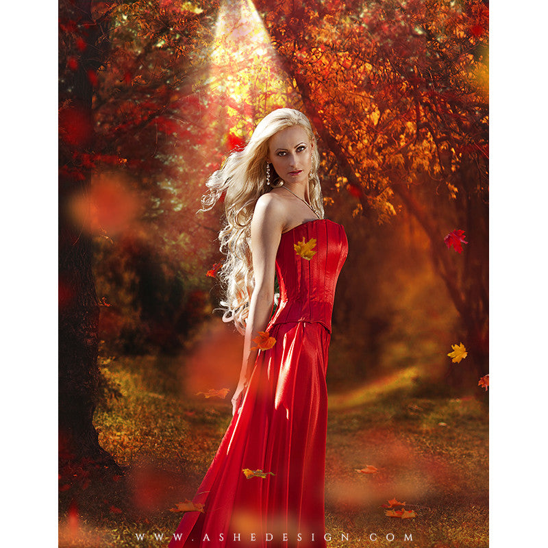 Digital Props 11x14 Backdrop Set - Autumn Woods