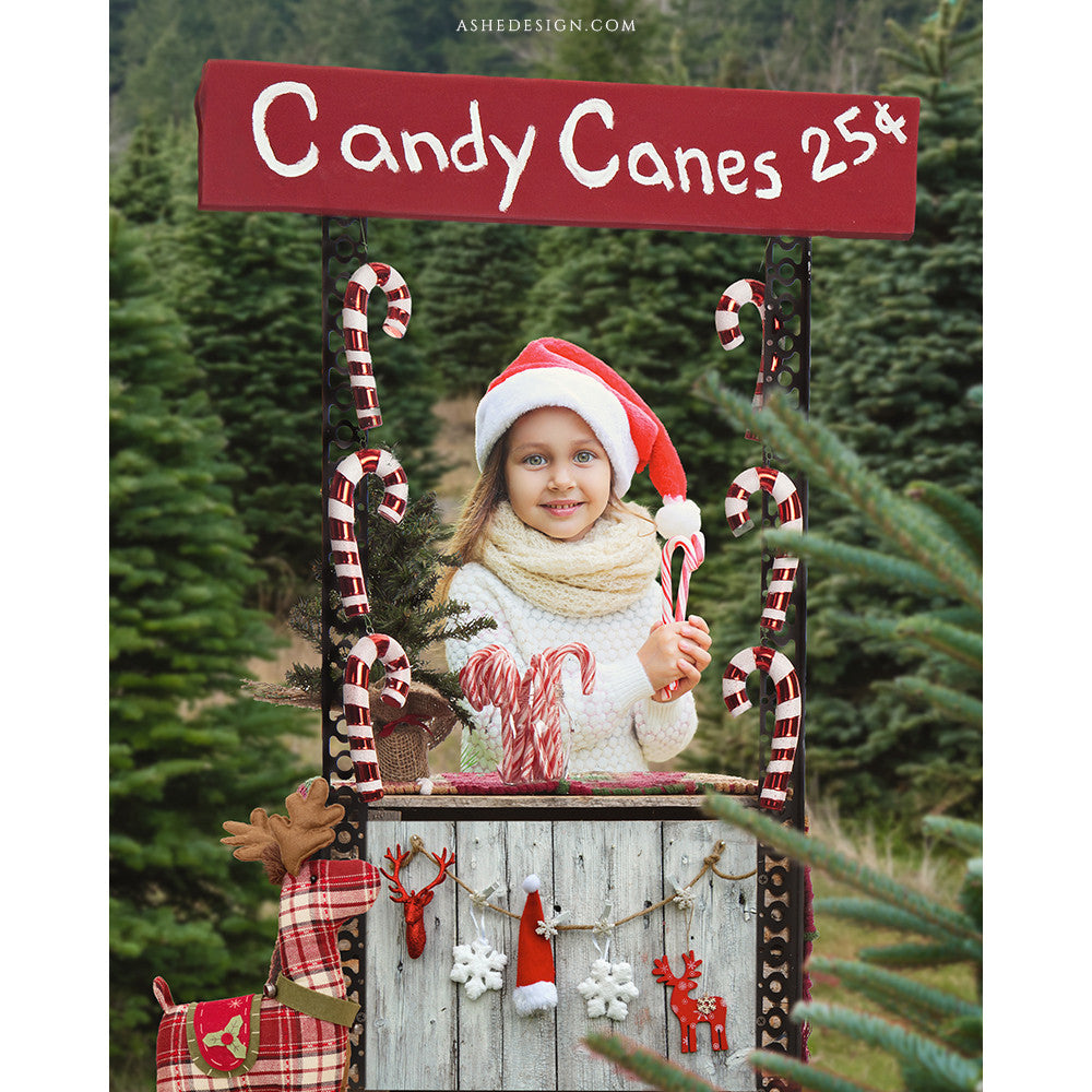 Digital Props 8x10 Backdrop Set - Candy Cane Stand