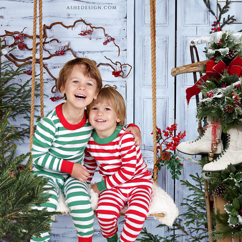 Ashe Design 16x20 Digital Backdrop Set - Christmas Swing AFTER