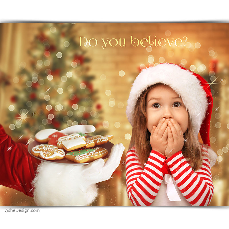 Digital Props 16x20 Backdrop Set - Cookies For Santa